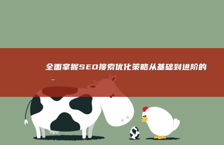 全面掌握SEO搜索优化策略：从基础到进阶的全面指南